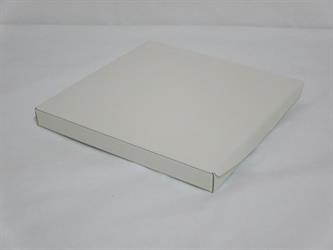 300x300 Astucci Pelle Bianca