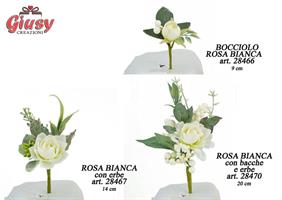 Rosa Bianca Con Erbe 14 Cm 12*576