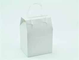 Astuccio Carta 12x10xH.16,5 Cm 10*100