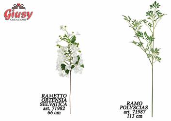 Rametto Ortensia Selvatica 66 Cm 12*72