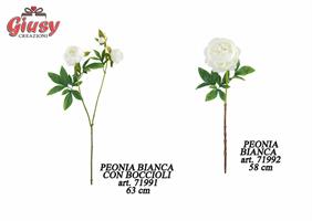 Peonia Bianca Con Boccioli 63 Cm 12*96