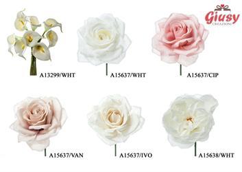 Set 12 Rose Inglese Colore Bianco Cm 15