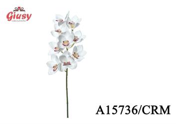 Natural Orchidea 7Cm 12*144