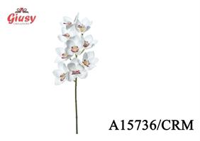 Natural Orchidea 7Cm 12*144