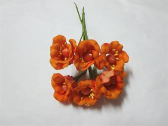 Anemone Arancio 72*144