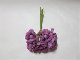 Anemone Lilla 72*144