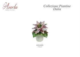 Vasetto Piccolo Con Dalia H.10 Cm In Porcellana Di Capodimonte Completo Di Scatola Trofeo