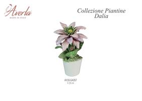 Vasetto Grande Con Dalia H.19 Cm In Porcellana Di Capodimonte Completo Di Scatola Trofeo