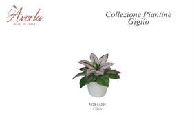 Vasetto Piccolo Con Giglio H.10 Cm In Porcellana Di Capodimonte Completo Di Scatola Trofeo