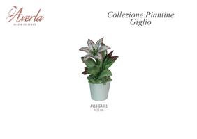 Vasetto Medio Con Giglio H.16 Cm In Porcellana Di Capodimonte Completo Di Scatola Trofeo