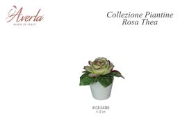 Vasetto Piccolo Con Rosa Thea H.10 Cm In Porcellana Di Capodimonte Completo Di Scatola Trofeo