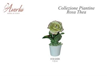 Vasetto Medio Con Rosa Thea H.16 Cm In Porcellana Di Capodimonte Completo Di Scatola Trofeo
