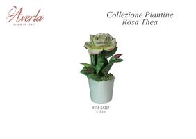 Vasetto Grande Con Rosa Thea H.19 Cm In Porcellana Di Capodimonte Completo Di Scatola Trofeo