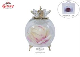 Coppa In Vetro Oro D.12 Cm Con Rosa Sfumata Rosa Completo Di Scatola Led