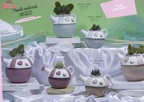 Annaffiatoio In Ceramica Di Capodimonte Con Pianta Grassa Collezione Matrimonio 12Cm