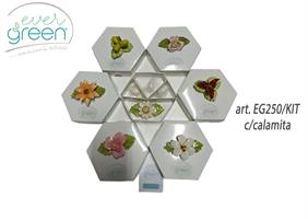 Kit Da 7 Pezzi Tralci Con Foglie In Capodimonte Con Magneti E Con Scatola Degustazione