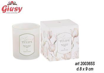 Candela Bianca Tulipani Con Scatola, D8XH9   6*24