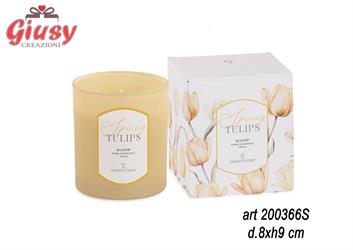 Candela Gialla Tulipano Con Scatola D.8XH9 Cm 6*24