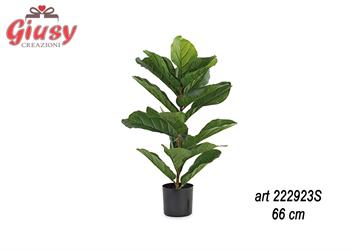 Pianta Artificiale Ficus Lyrata Con Vaso h 66 Cm 2*4