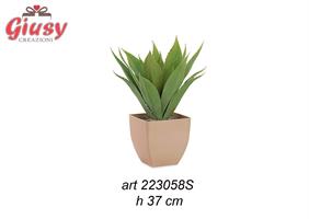 Pianta Con Vaso In Ceramica H 37 Cm 2*6